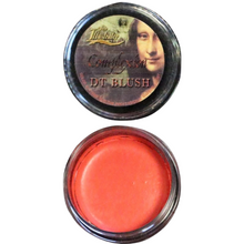 Load image into Gallery viewer, Skin Illustrator Complexion Singles - Fox and Superfine