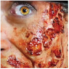 Load image into Gallery viewer, Tinsley 3D FX Transfers - Fox and Superfine