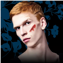 Load image into Gallery viewer, Tinsley 3D FX Transfers - Fox and Superfine