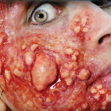 Load image into Gallery viewer, Tinsley 3D FX Transfers - Fox and Superfine