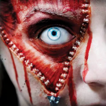 Load image into Gallery viewer, Tinsley 3D FX Transfers - Fox and Superfine