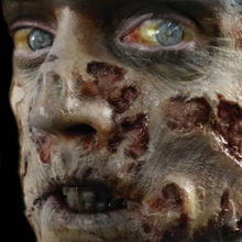 Load image into Gallery viewer, Tinsley 3D FX Transfers - Fox and Superfine