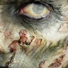 Load image into Gallery viewer, Tinsley 3D FX Transfers - Fox and Superfine