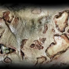Load image into Gallery viewer, Tinsley 3D FX Transfers - Fox and Superfine