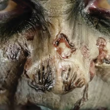 Load image into Gallery viewer, Tinsley 3D FX Transfers - Fox and Superfine