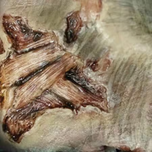 Load image into Gallery viewer, Tinsley 3D FX Transfers - Fox and Superfine