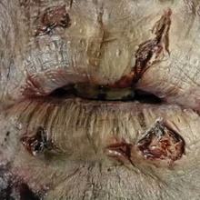 Load image into Gallery viewer, Tinsley 3D FX Transfers - Fox and Superfine