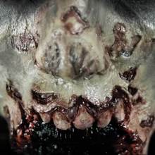 Load image into Gallery viewer, Tinsley 3D FX Transfers - Fox and Superfine