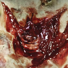 Load image into Gallery viewer, Tinsley 3D FX Transfers - Fox and Superfine