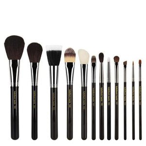 MAESTRO COMPLETE 12PC. BRUSH SET WITH ROLL-UP POUCH - Fox and Superfine