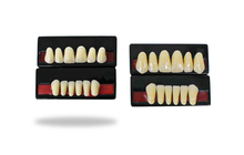 Load image into Gallery viewer, Artificial Teeth Sets