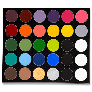 Paradise Makeup AQ - 30 Color Pro Palette (.25oz x 30)* - Fox and Superfine