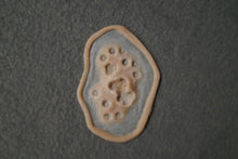 Load image into Gallery viewer, Wigley FX Buck Shot