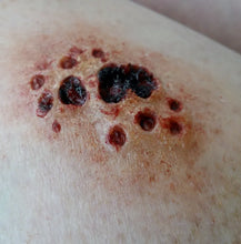 Load image into Gallery viewer, Wigley FX Buck Shot