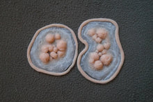 Load image into Gallery viewer, Wigley FX Plague - Large