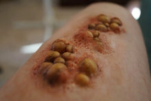 Load image into Gallery viewer, Wigley FX Plague - Large