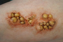 Load image into Gallery viewer, Wigley FX Plague - Large