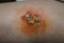 Load image into Gallery viewer, Wigley FX Plague - Small